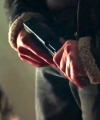 APRX202811829.jpg