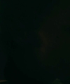 10020288029.jpg