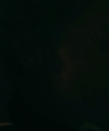10020288129.jpg