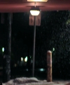 20020288629.jpg