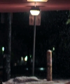 20020289729.jpg