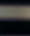 00120288229.jpg