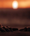 Filename=00120286629.jpg
Filesize=99KiB
Dimensions=1920x800
Date added=Aug 09, 2026 00120286629.jpg