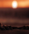 Filename=00120286829.jpg
Filesize=99KiB
Dimensions=1920x800
Date added=Aug 09, 2026 00120286829.jpg