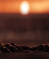 Filename=00120287529.jpg
Filesize=97KiB
Dimensions=1920x800
Date added=Aug 09, 2026 00120287529.jpg