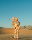 MOJAVE24_282929.jpg